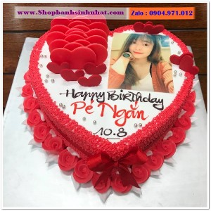 Bánh Sinh Nhật In Hình Ảnh - H298
